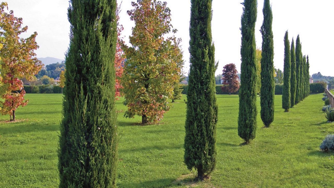 "Encantea" Lovely Country House Lucca Exterior foto